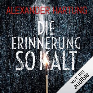 Die Erinnerung so kalt Book Cover