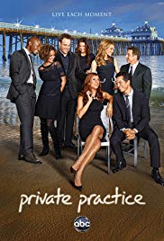 Private Practice - 1. Staffel Book Cover