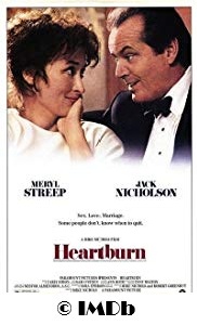 Sodbrennen Book Cover